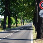 Voiture sans permis : quelle vitesse maximale ? Voiture sans permis : quelle vitesse maximale ?